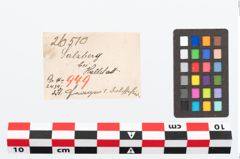 Etikett zu Bronzescheide (NHMW-PRAE-026510)